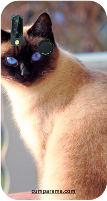 huse personalizate pisica